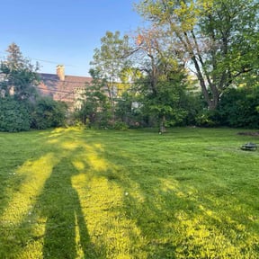 Cleanups by Yard Intel Pros reviewed on May 7, 2022