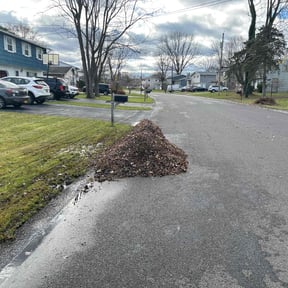 Leaf Removal by Simple Solution Home Services reviewed on July 30, 2022