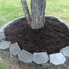 Landscaping by JES Lawn Service LLC reviewed on December 7, 2024