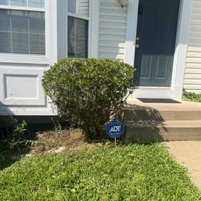 Bush Trimming by Premium grass cutz reviewed on October 11, 2022