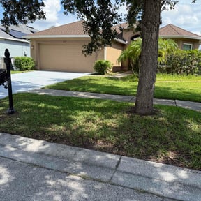 Bush Trimming by Lawn and Labor Services reviewed on July 25, 2022