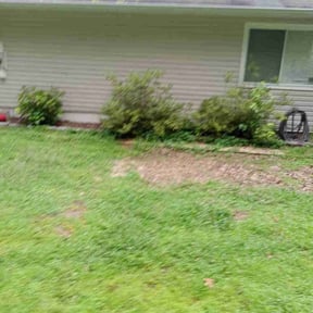Bush Trimming by Buggs & Sons Landscape MGMT reviewed on August 1, 2022