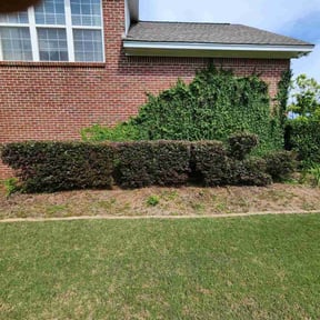 Bush Trimming by Chores, etc. reviewed on April 20, 2022