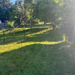 Cleanups by RMZ Landscape Services LLC reviewed on May 15, 2025