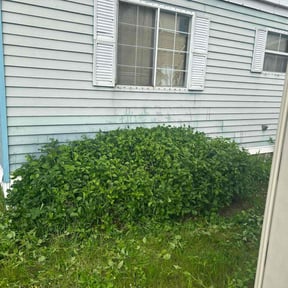 Bush Trimming by Goodearth Lawn Service reviewed on July 24, 2022