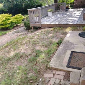 Leaf Removal by MowBetter reviewed on March 29, 2022