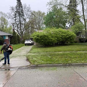 Leaf Removal by Davis landscaping reviewed on July 11, 2020