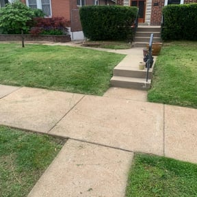 Bush Trimming by Brooks LLC reviewed on August 2, 2023