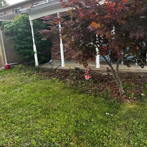 Weeding by LSLTDallas/FortWorthTruGreen reviewed on June 12, 2025