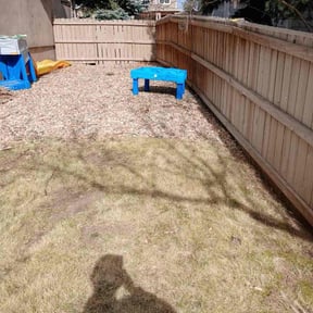 Leaf Removal by Bryan English LLC reviewed on April 18, 2022