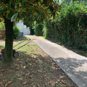 Bush Trimming by S & G Landscaping, Inc. reviewed on October 19, 2021