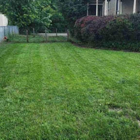 Bush Trimming by Howard Landscaping reviewed on August 3, 2025