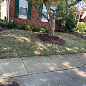 Leaf Removal by Greg's gardens reviewed on October 24, 2024