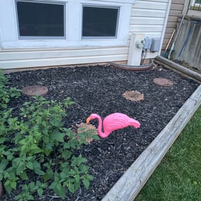 Flower Bed Weeding by Express Innovations reviewed on May 3, 2022