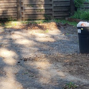 Leaf Removal by Austin Way reviewed on October 14, 2022