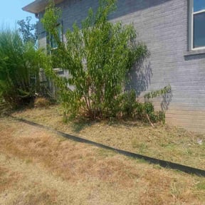 Flower Bed Weeding by E-maculate Lawn  Care LLC reviewed on May 12, 2025