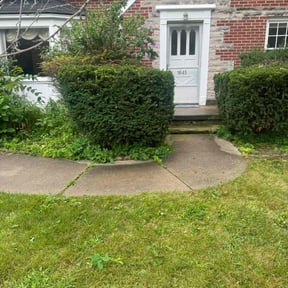 Bush Trimming by Mora Brothers Tree and Landscaping reviewed on May 15, 2022