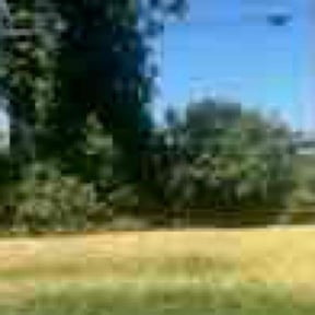 Weeding by T&#039;s Mow Blow &amp; Go reviewed on April 15, 2025