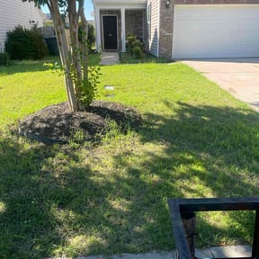 Bush Trimming by Palmetto Land Service reviewed on June 30, 2025