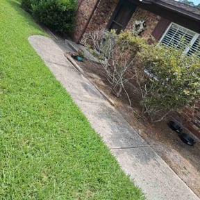 Flower Bed Weeding by LSLTDallas/FortWorthTruGreen reviewed on April 18, 2025