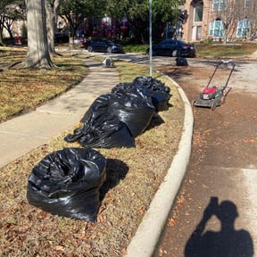 Leaf Removal by Big Bear Lawn Care reviewed on October 2, 2021