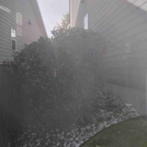 Bush Trimming by Yard Yuppie reviewed on July 28, 2022