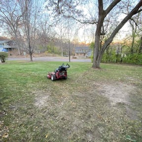 Leaf Removal by Weekend Warrior Landscaping reviewed on July 3, 2022