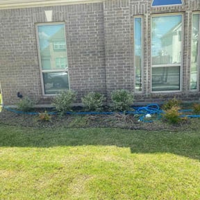 Bush Trimming by Dypak Services reviewed on June 18, 2022