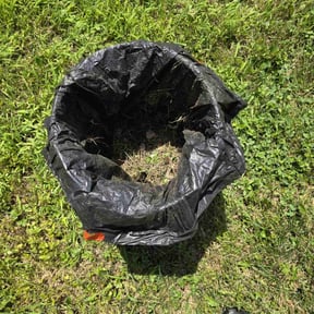 Cleanups by Tilcco reviewed on July 1, 2022