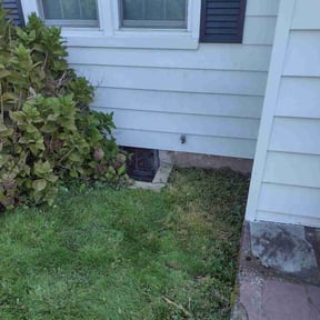 Cleanups by N&C Lawn Service LLC. reviewed on June 10, 2022