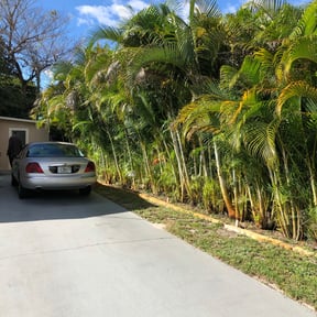 Bush Trimming by Independent Contractor reviewed on April 19, 2022