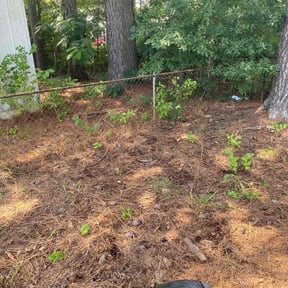 Cleanups by The Family Home & Lawn Care reviewed on May 27, 2022