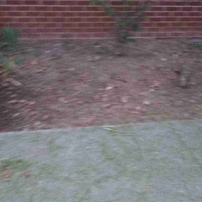 Flower Bed Weeding by amazing r&r landscaping reviewed on October 6, 2022