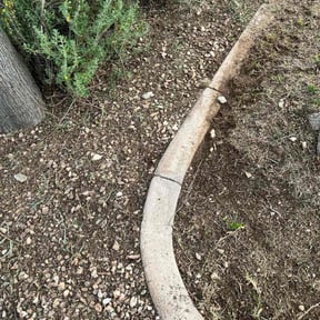 Leaf Removal by Joey Smith reviewed on July 5, 2022