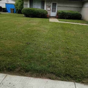 Bush Trimming by LuChi Landscaping reviewed on August 4, 2022