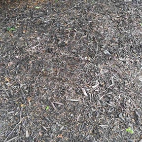 Weeding by Groves Lawn Care reviewed on July 30, 2022