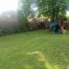 Leaf Removal by Hebert's Lawn Care & Services reviewed on October 11, 2022