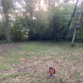 Cleanups by Wagner Lawncare reviewed on October 31, 2024