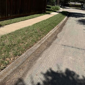 Leaf Removal by LSLTDallas/FortWorthTruGreen reviewed on May 28, 2023