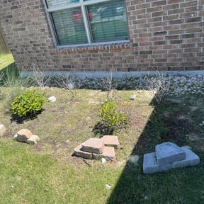 Flower Bed Weeding by Gardner 3 Tools reviewed on August 4, 2025