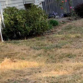 Flower Bed Weeding by Hovde landscaping reviewed on July 8, 2022