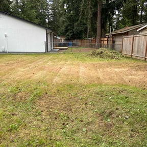 Cleanups by Christopher MowPro reviewed on June 18, 2025