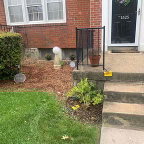 Flower Bed Weeding by Israel Chavez reviewed on June 16, 2022