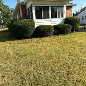 Bush Trimming by Victoria Landscaping, LLc reviewed on May 3, 2022