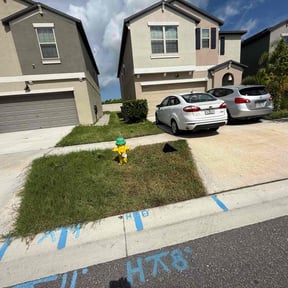 Bush Trimming by Hometeam Property Management reviewed on October 5, 2024