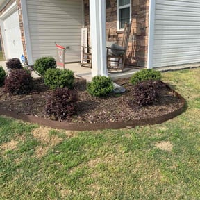 Bush Trimming by Lawn Til Dawn Services reviewed on August 1, 2024