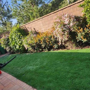 Bush Trimming by Green Guy Landscaping LLC reviewed on June 5, 2022