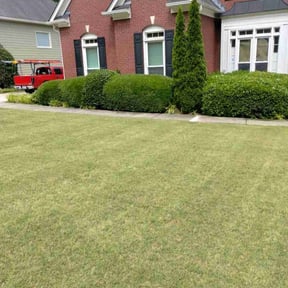 Bush Trimming by Lawn Texh Pros LLC reviewed on May 20, 2022