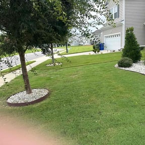 Weeding by Lawn Vision reviewed on August 4, 2022