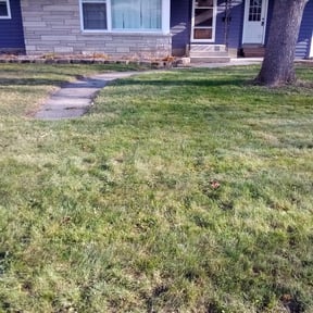 Leaf Removal by Lawncare reviewed on June 30, 2025